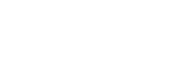light logo